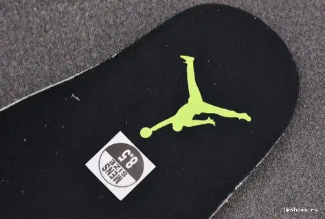 CT8529-003  6 CT8529-003 Green Air Retro Jordan Electric 0406
